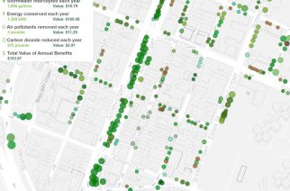 Интерактивная карта уличных деревьев в Нью-Йорке