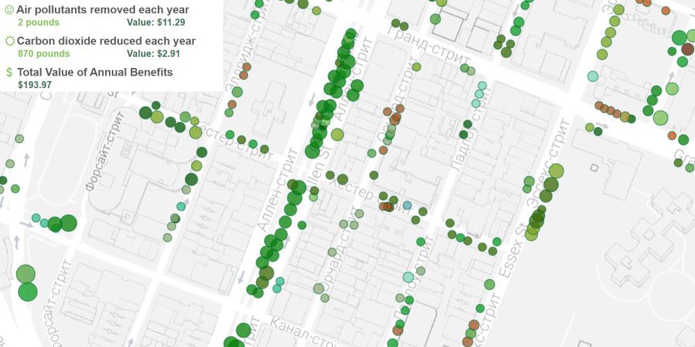 Интерактивная карта уличных деревьев в Нью-Йорке
